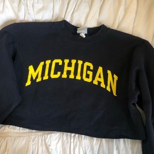 Cropped Michigan sweatshirt
